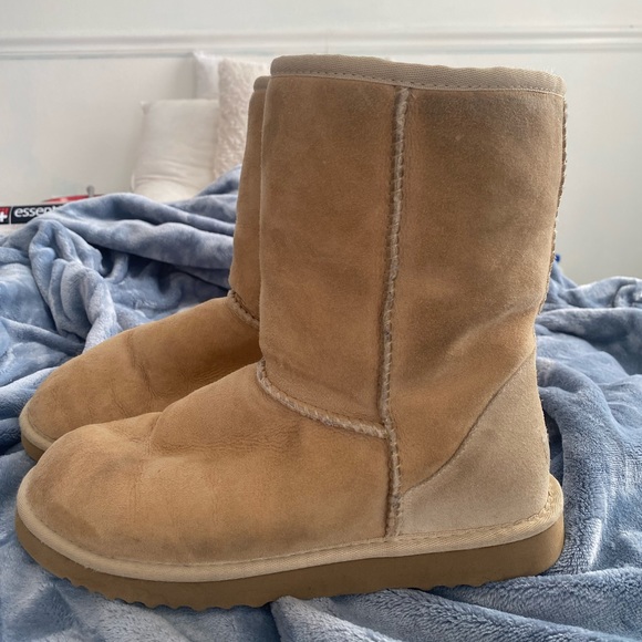 UGG boots (short) - Picture 2 of 5